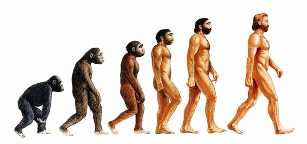 Evolução do Homem com Barba